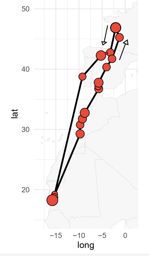 Cette bergeronnette printanière, équipée d′un GLS près de Redon (Sud Ille-et-Vilaine), semble avoir traversé d′une traite entre le sud de l′Espagne et la Namibie !