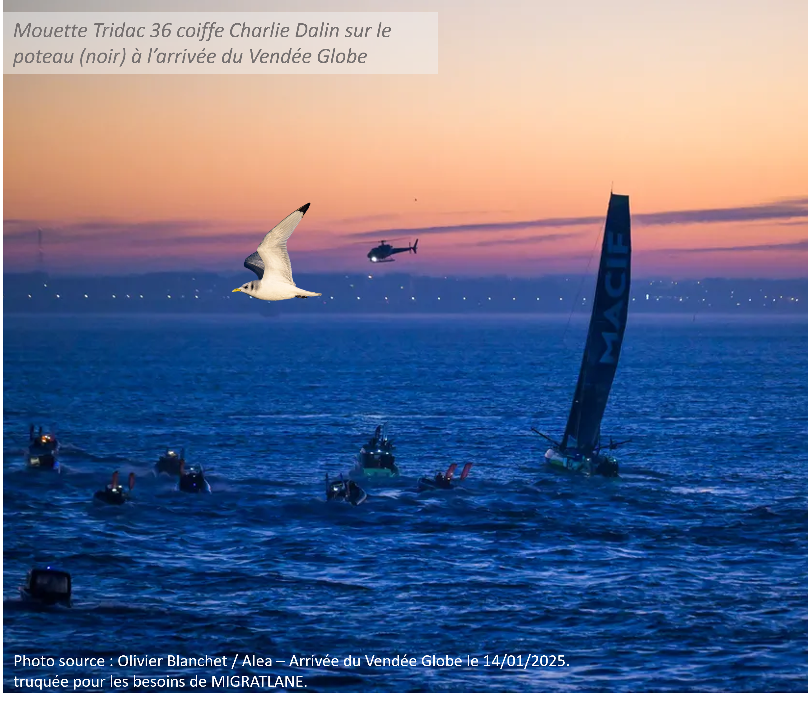 Une tridac à l’arrivée du Vendée Globe