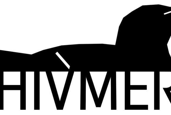 24h dans la vie d’un guillemot 24h dans la vie d’un guillemot